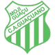 瓜诺CAU20 logo